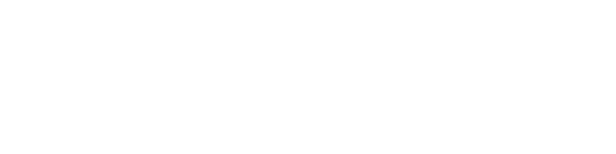 Albertsons Logo White